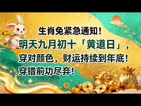 生肖兔緊急通知！明天九月初十「黃道日」，穿對顔色，財運持續到年底！穿錯前功盡棄！