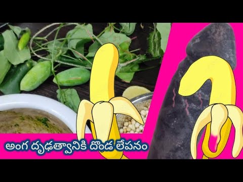 అంగ బలహీనతను దొండ లేపనం||బలహీన పడి లేవలేని స్థితిలోకి వెళ్లిన అంగాన్ని దృడంగా మార్చే దొండ లేపనం