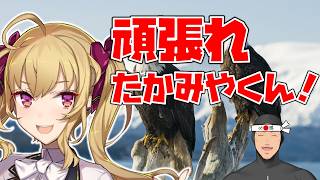 【ミラーリングなし】たかみやくん同時視聴応援配信【にじさんじ/舞元啓介】