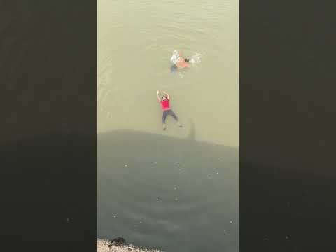 #pspolistdiltutgya #love #haryanvisong #newsong #song #shorts