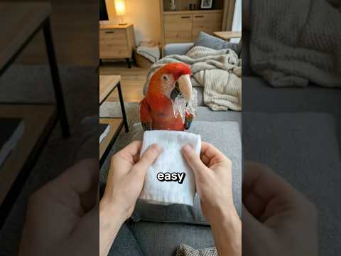 This Parrot Couldn't Move Its Beak💔 #emotional #animals #heartwarming