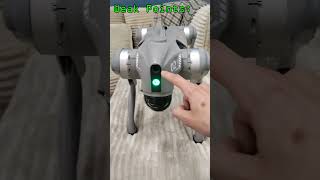 Robot Dog! Unitree Go2 review #shorts #robot #dog