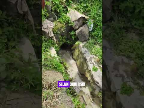 Warga Desa Darmaga Keluhkan Bau Limbah Dapur SPPG di Selokan #subang #mbg #sppg #shortvideo