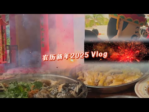 农历新年Vlog 把美好的记录起来 |  Mr. Hong Kitchen