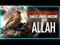The Story of the Sparrow and Its Lessons