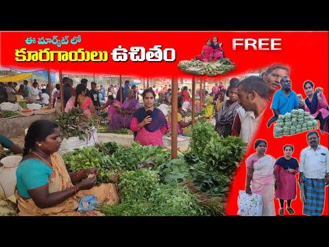 ఈ మార్కెట్ లో కూరగాయలు FREE 😂🤣| Vegetables Free | Yes or No GAME | itlu Anitha