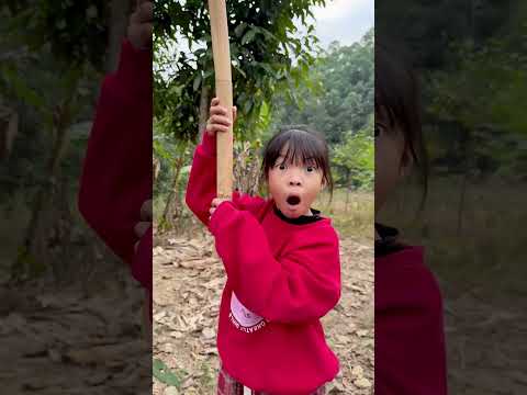 Survival Skills: SMART idea and USEFUL with single mom #bushcraft #camping #outdoors