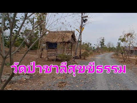 วัดป่าชาลีสุขขีธรรม