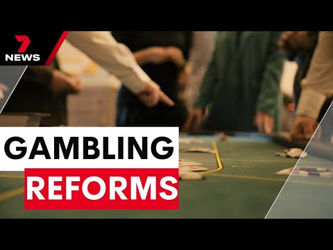 Advocates slams Albo government for inaction on a confronting report on gambling reform | 7NEWS