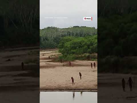 Rare footage shows uncontacted indigenous tribe in Peru