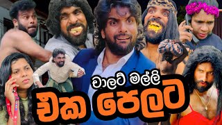 චාලට් මල්ලි short videos එක පෙලට - chalat malli - චාලට් මල්ලි  (බොක බොක්ක) ❤️👊