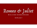 Nurse and Juliet's Communication Dynamics