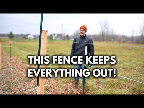 Sorry Rudolph! We Built The World's Most Deer Proof Fence over 14 Acres