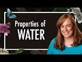 Exploring the Unique Properties of Water