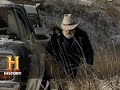 Beaver Dams and Trapping Techniques