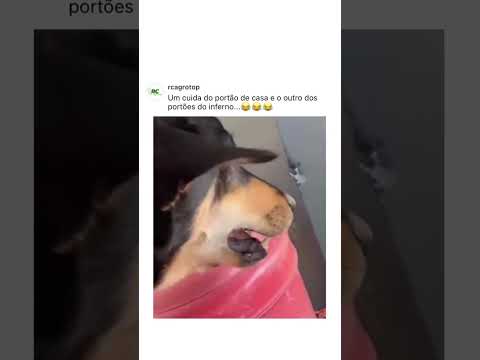 DEUS É MAIS kkkk 😂😂😂 #memes #humor #comedia