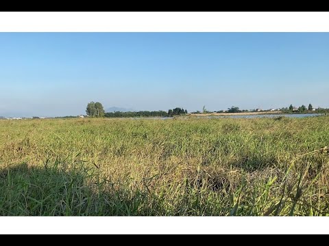 Hành Trình Câu Cá Kể Tự Nhiên Tập 2