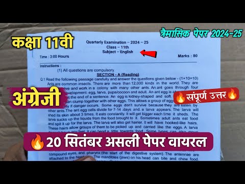 class 11th english trimasik paper 2024 || कक्षा 11वी अंग्रेजी त्रैमासिक परीक्षा का पेपर 2024 ||