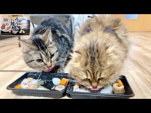 猫におせち料理を献上したら過去最高レベルの食いつきだったw