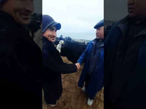 17 млн сураляпти