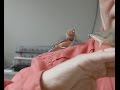 Animal Communication and Behavior Concepts
