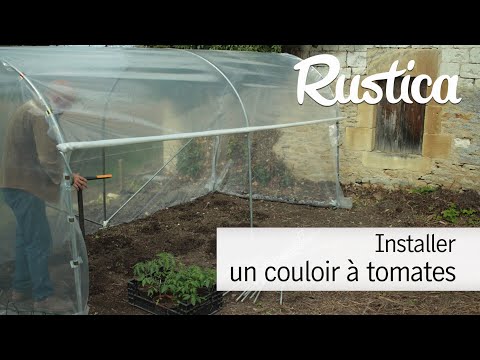 Comment installer un tunnel à tomate