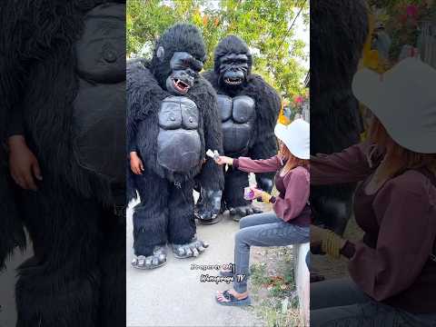 King Kong Di Kasih Saweran Duit