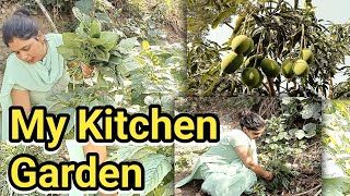 Anjana Vishal Vlog || Anjna Vishal Vlogs