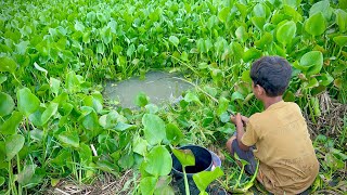 Fishing Video ✅|| village little I was amazed to see this boy cleaning the canal and catching fish