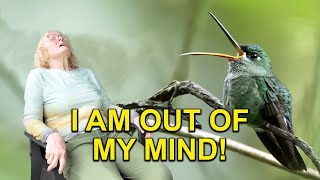 Crazy Hike for a Rarely Seen Hummingbird
