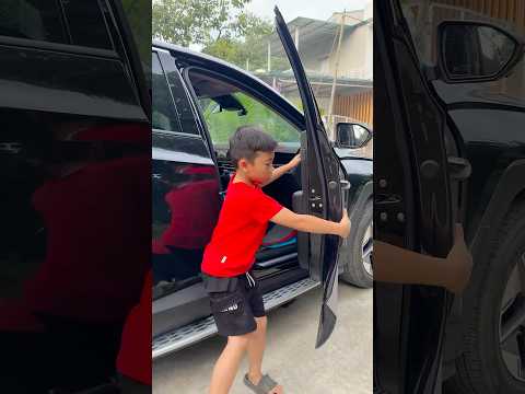 Em trai tìm kiếm một hồi lâu và phát hiện ra đây chính là con mèo trong điện thoại.😂 #shorts