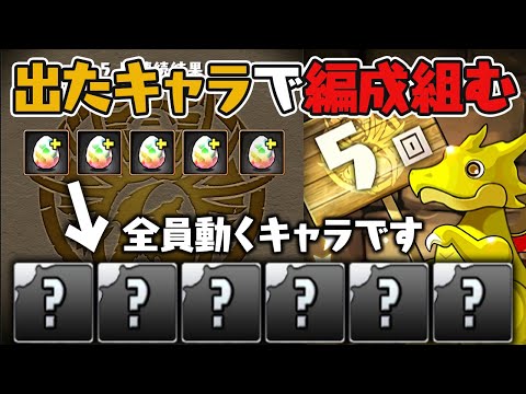 5連ガチャドラから出たキャラで裏運命の三針に挑む！【パズドラ】