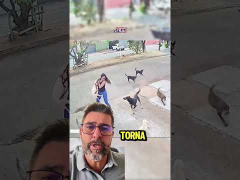CACHORRO ATACADO NO PASSEIO | Descubra o que fazer nessa hora