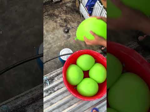 Cơn mưa bóng bay🥤😁😀