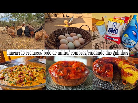 Receita deliciosa e prática para dias corridos/ bolo de fubá com goiabada/ limpeza no galinheiro