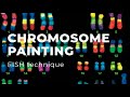 Chromosome Painting Techniques and Challenges