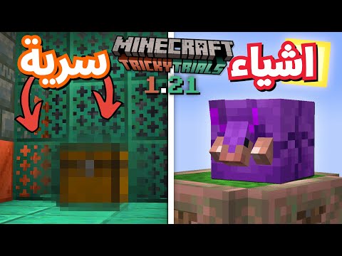 معلومات سريه عن تحديث ماين كرافت 1.21 ! اتحداك اذا كنت تعرفها ؟🔥