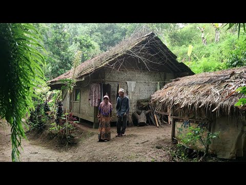 Pemberani !! Sepasang Lansia Menikmati Masa Tua Memilih Tinggal Menyendiri Di Rumah Tengah Hutan