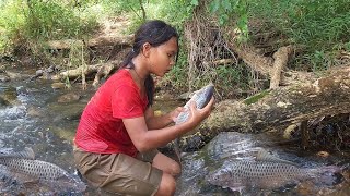 Life in jungle, Catch and cook big fish for survival food, Fish spicy curry for dinner