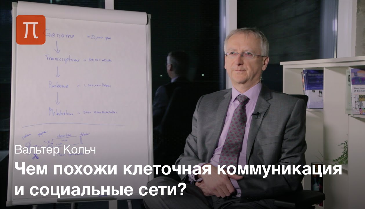 Вальтер Кольч - Передача внутриклеточных сигналов