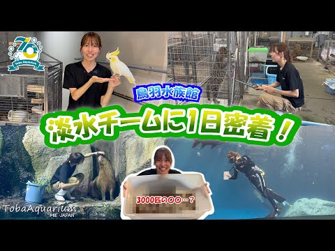 《鳥羽水族館 開館70周年記念動画》飼育係に1日密着！～淡水チーム編～