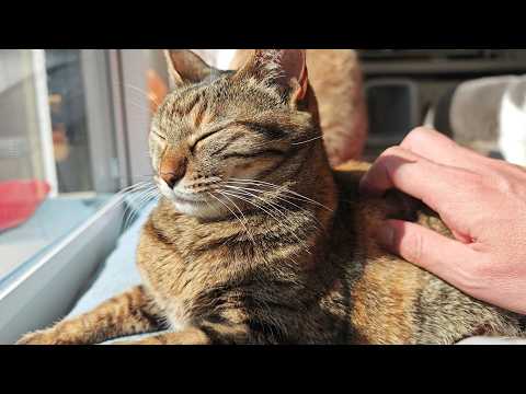 お久しぶりです