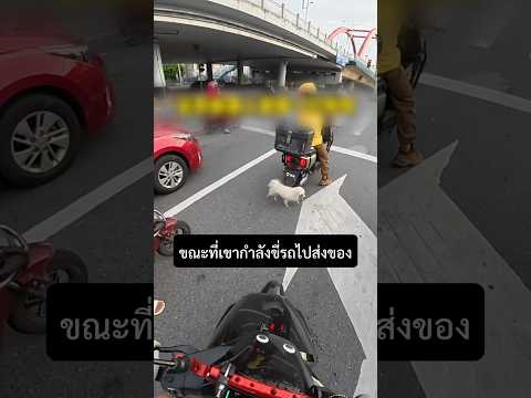 EP.1  เมื่อพี่ไรเดอร์ เจอน้องหมากลางถนน