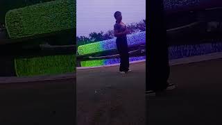les gustó el vídeo ?