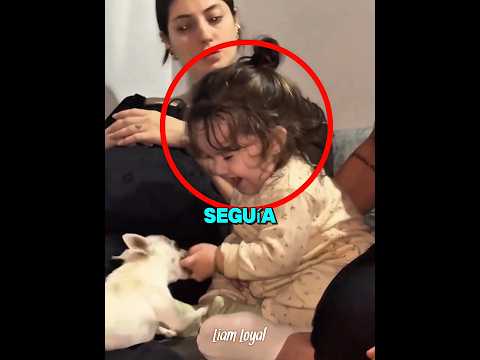 La reacción más tierna a una mordida de perro