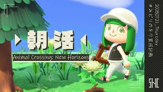 寝坊助さんのあつ森配信。【 あつまれどうぶつの森 ┊ 葉摘煎茶 ┊ vtuber 】