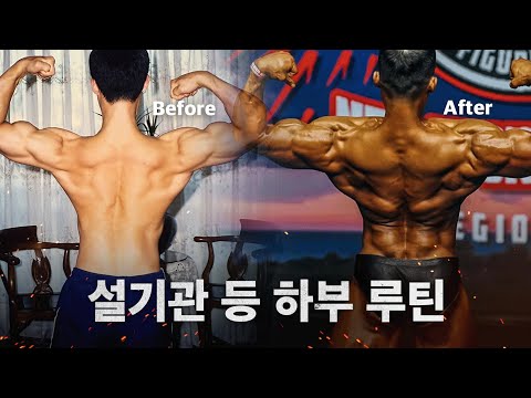 20년간 진행한 등 루틴과 바뀐 등 루틴(등 하부 운동)