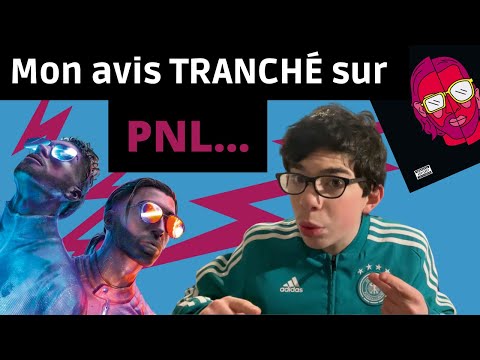 Mon avis sur PNL ...