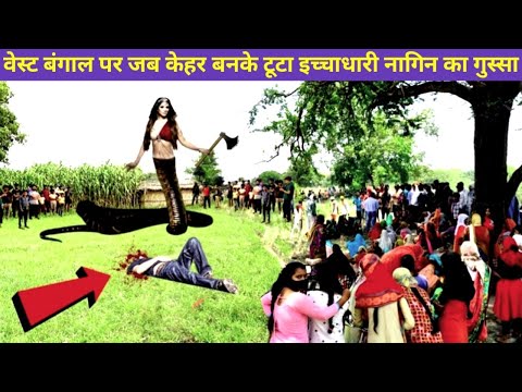 वेस्ट बंगाल पर जब केहर बनके टूटा इच्चाधारी नागिन का गुस्सा #ichchadharinagin #snake  #viralvideo