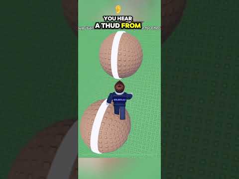 Why?!? #benjikplayz #roblox #rant #yapping #cardrifting #memes #shorts #fpyシ